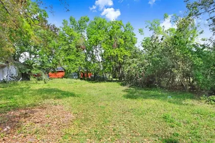 PLANT CITY FL Property