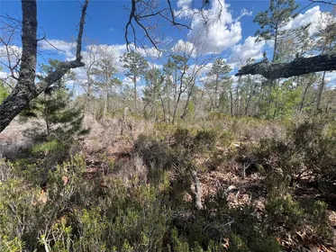 HAWTHORNE FL Property