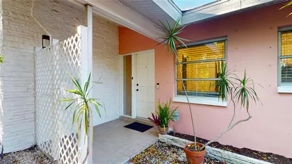 CLEARWATER FL Home