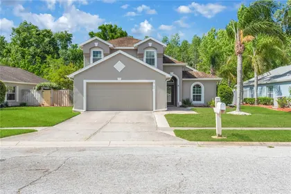 WESLEY CHAPEL FL Home