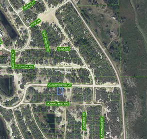 LAKE PLACID FL Property