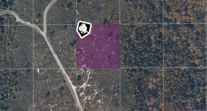 OAK HILL FL Property