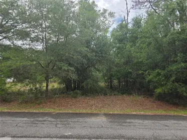 DUNNELLON FL Property