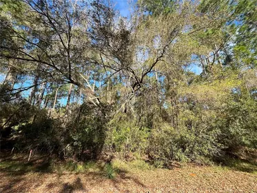 GEORGETOWN FL Property