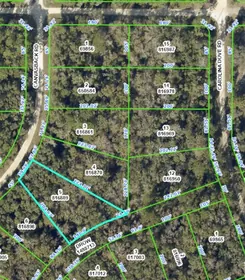 WEEKI WACHEE FL Property