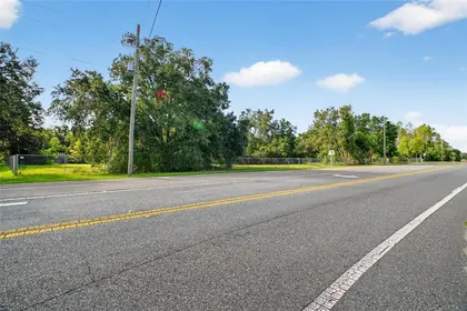 ALTOONA FL Property