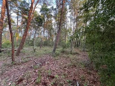 INTERLACHEN FL Property