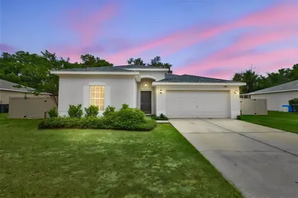 SEFFNER FL Home