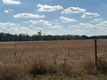 GROVELAND FL Property