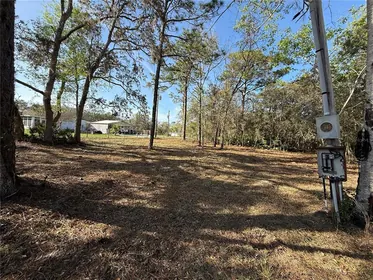 HOMOSASSA FL Property