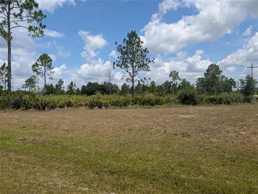 INDIAN LAKE ESTATES FL Property