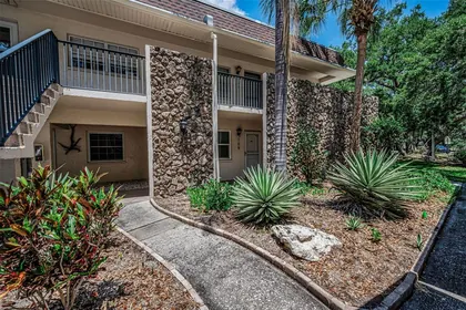 DUNEDIN FL Home