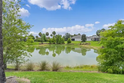 THE VILLAGES FL Home