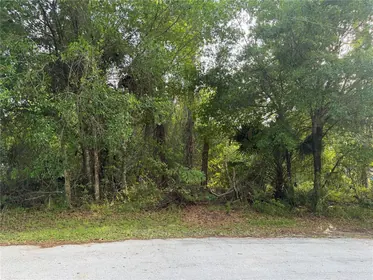 PALM COAST FL Property