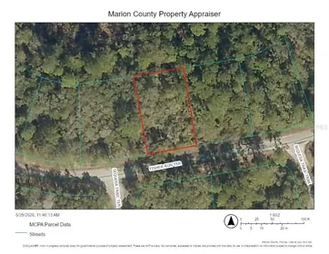 OCKLAWAHA FL Property