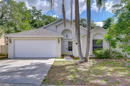 VALRICO FL Home