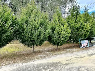 CHIEFLAND FL Property
