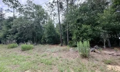 INVERNESS FL Property