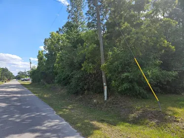 BELLEVIEW FL Property