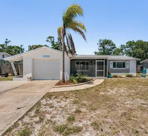 HOLIDAY FL Home