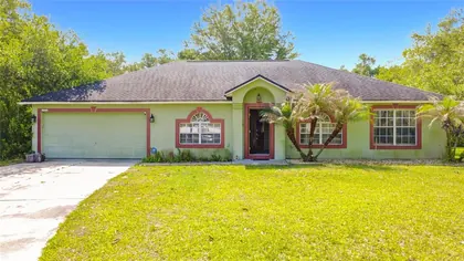 MOUNT DORA FL Home