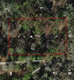 DUNNELLON FL Property