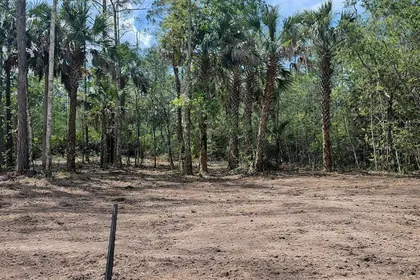 BUNNELL FL Property