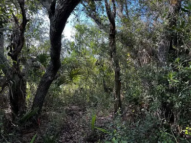 PUNTA GORDA FL Property