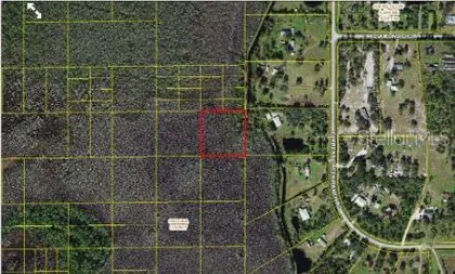 ST CLOUD FL Property