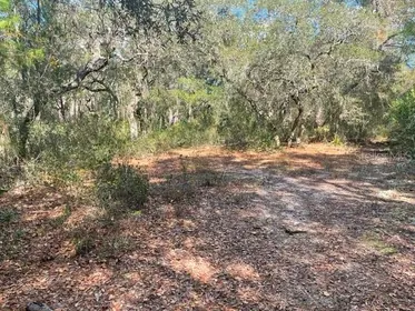 OCKLAWAHA FL Property