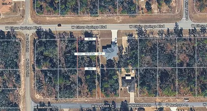 CITRUS SPRINGS FL Property