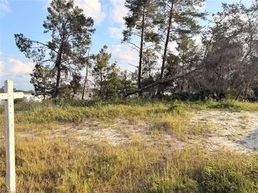 KISSIMMEE FL Property