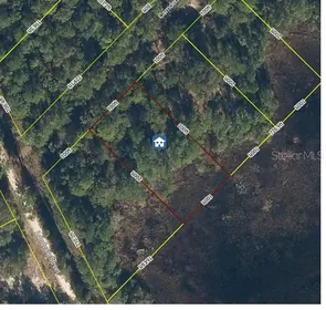 GEORGETOWN FL Property