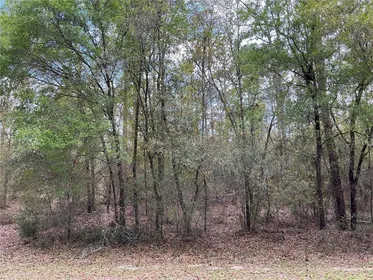 DUNNELLON FL Property