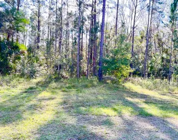 INDIAN LAKE ESTATES FL Property