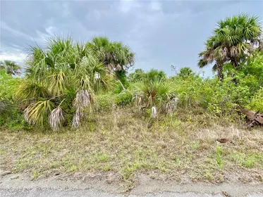 NORTH PORT FL Property