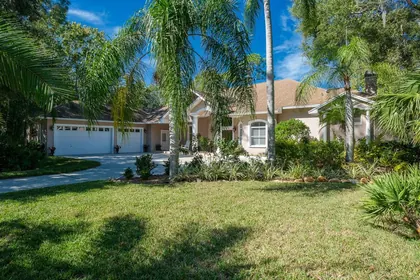 OLDSMAR FL Home