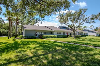 OLDSMAR FL Home