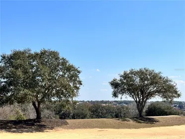 BELLA COLLINA FL Property