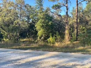 WEBSTER FL Property