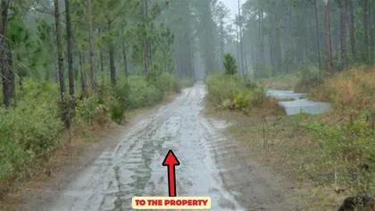 FROSTPROOF FL Property
