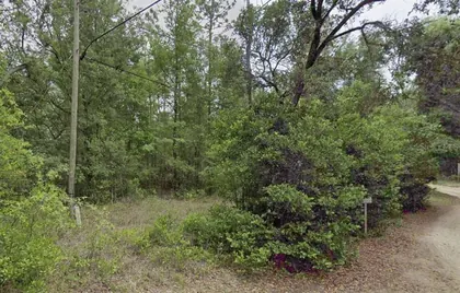 DUNNELLON FL Property