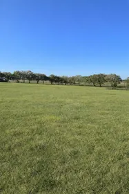 DUNNELLON FL Property