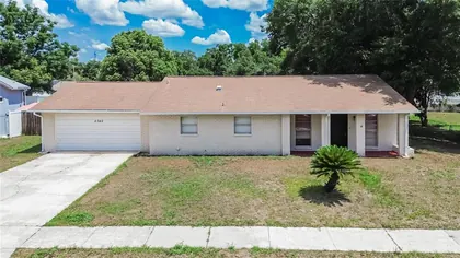 SEFFNER FL Home