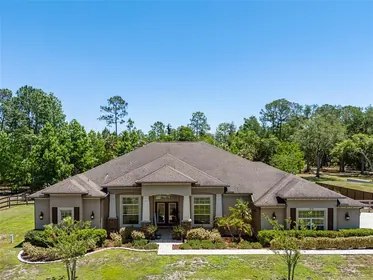 WESLEY CHAPEL FL Home