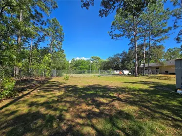 CITRUS SPRINGS FL Property