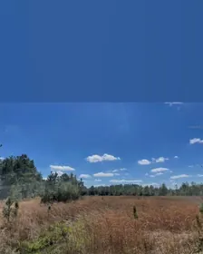 FORT MC COY FL Property