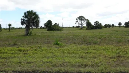 PLACIDA FL Property