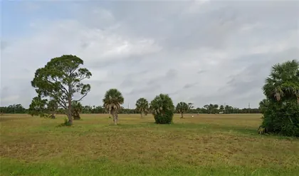 PLACIDA FL Property