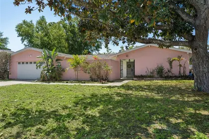 TAMPA FL Home